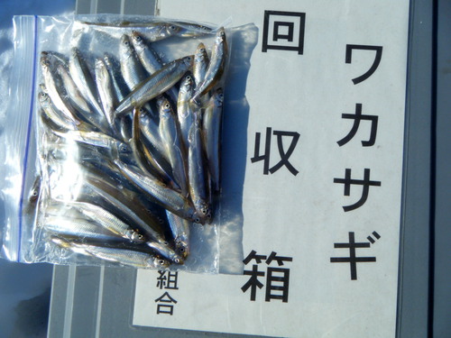 聖地：赤城大沼へ！
