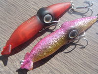 公魚→眼張→蛍烏賊