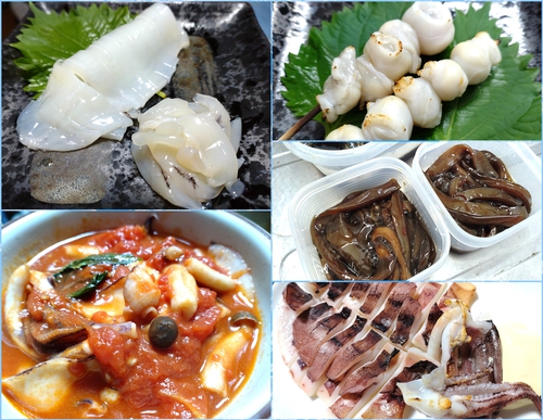 釣魚料理と保存 （フードセーバー）
