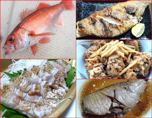 釣魚料理と保存 （フードセーバー）