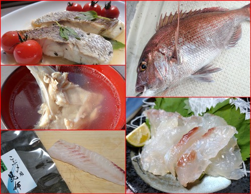 釣魚料理と保存 （フードセーバー）