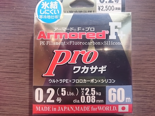 ワカサギPE 色々あるけど・・・