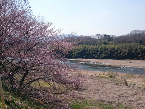 コンビニ釣り券・・・撤退
