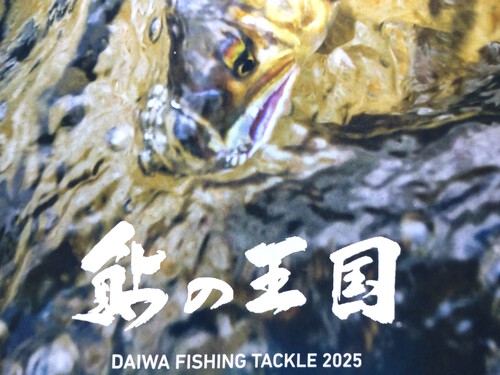 鮎カタログと暴年改