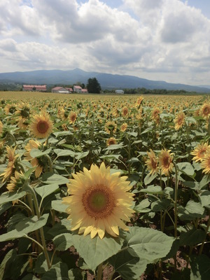 北海道キャンプ　その⑨