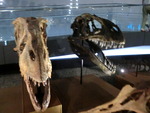 北陸キャンプ　やっぱり…ドタバタ旅の巻　その⑤