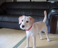 ＜2007.8.11／本日の平塚新港＆本日の凪（なぎ）＞
