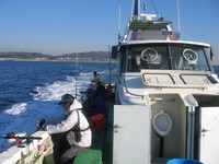 その145＜相模湾ＬＴ／船釣り／2007.12.15＞