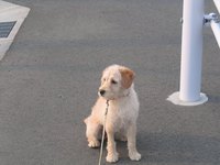 その123＜2007.4.27／相模湾／島きち丸＞