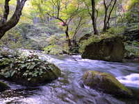 自然の造形美 IN 奥入瀬渓流