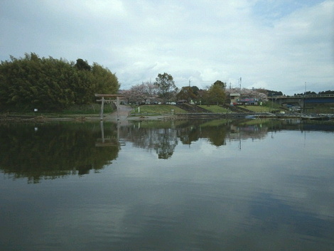 桜散る高滝ダム