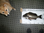 すぐそこ