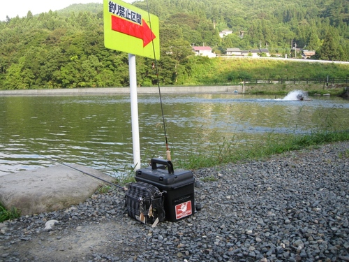 久しぶりの釣行を超久しぶりの尾瀬FLで＾＾