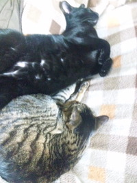 気が付けば2011年 2012/01/30 23:58:57