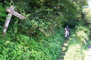 大山登山レポ( １)