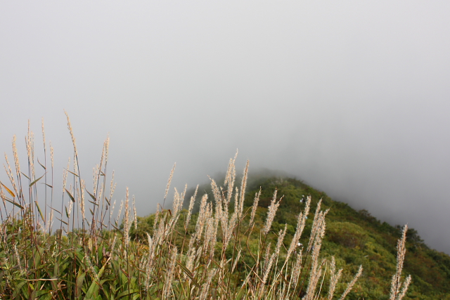 大山登山レポ( １)