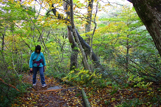大山へ。。。