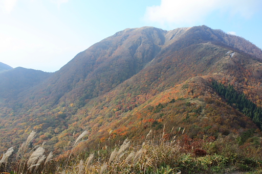 三瓶山もお気に入りに♪