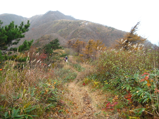 2週連続、三瓶山へ♪