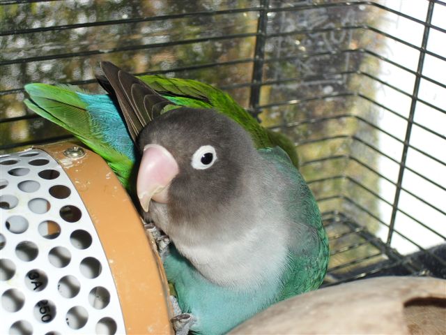 厳しいなあ