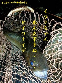 釣りバカ川柳大賞発表！！