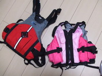 PFD 2011/02/03 05:41:33