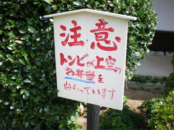 サプライズw(*ﾟoﾟ*)w