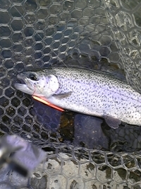 釣り納め。。。2010 2010/12/24 21:20:11