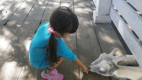 グリーン牧場&冬支度。。。 2012/10/08 22:31:24