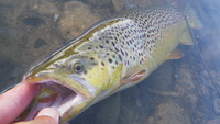 丸沼に行ってきました!! 2012/09/01 21:25:11
