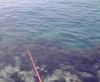 島流し!! 2008/06/10 09:51:45