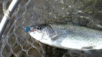 また川場フィッシングプラザです。。。 2011/11/08 20:00:00