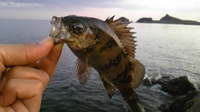 新規開拓～(^^)9 2009/01/07 00:34:17