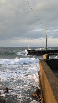 初釣り!! 2010/01/28 01:25:39
