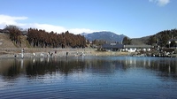 またまた管釣りです^^;; 2011/02/13 22:03:40