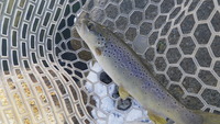 初釣り行ってきましたー!! 2012/01/10 21:42:39