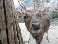 気がつけば・・・ 2012/03/15 15:42:18