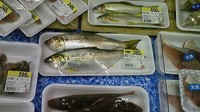 改心?! 2009/04/19 22:13:59
