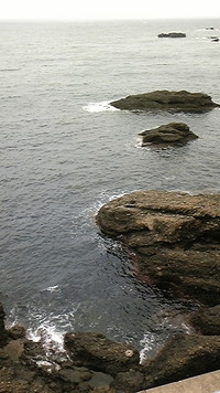 久々の・・・ 2009/07/03 23:56:17