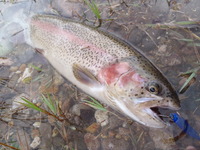短時間釣行!! 2011/09/06 18:12:54