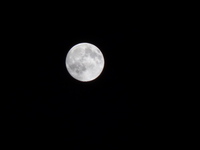 中秋の名月 2009/10/03 23:03:20