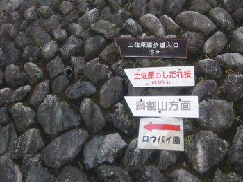 鍋割山（櫟山・栗ノ木洞経由）