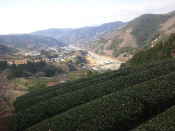 鍋割山（櫟山・栗ノ木洞経由）