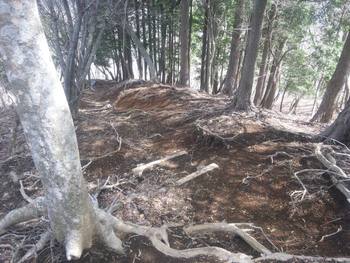 鍋割山（櫟山・栗ノ木洞経由）