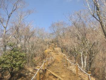 鍋割山（櫟山・栗ノ木洞経由）