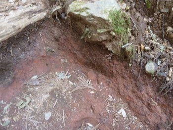 登り初め「明神ヶ岳～明星ヶ岳」