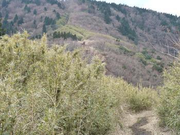 登り初め「明神ヶ岳～明星ヶ岳」