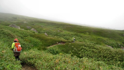 なめちゃいかんぜよｗ　日帰り登山