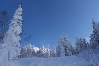 冬山の表と裏（麓だけどねｗ） 2012/01/23 17:09:13
