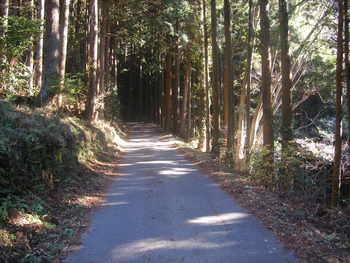 一人気ままに不動三滝～高山不動尊～関八州見晴台 ②